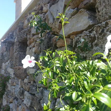 Trullo Terranostra Con Piscina Torre San Giovanni