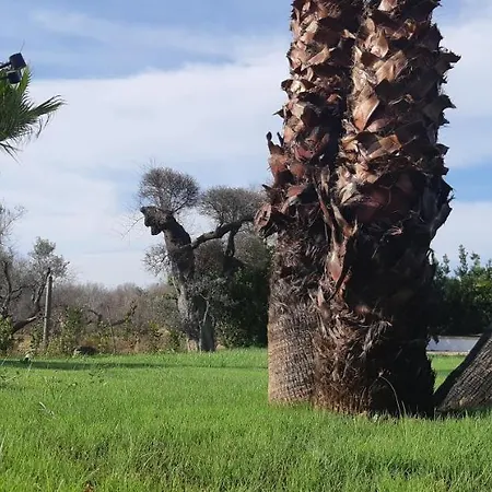 Trullo Terranostra Con Piscina Torre San Giovanni Villa Ugento